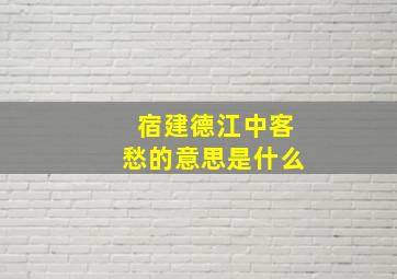 宿建德江中客愁的意思是什么