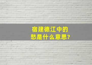 宿建德江中的愁是什么意思?