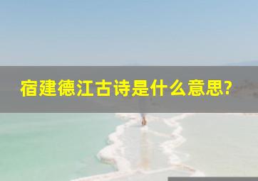 宿建德江古诗是什么意思?