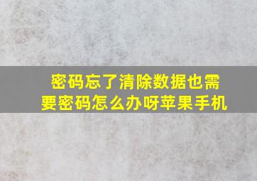 密码忘了清除数据也需要密码怎么办呀苹果手机