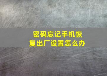 密码忘记手机恢复出厂设置怎么办