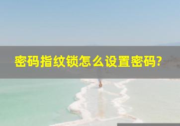 密码指纹锁怎么设置密码?