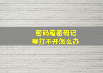 密码箱密码记得打不开怎么办