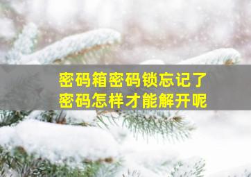 密码箱密码锁忘记了密码怎样才能解开呢