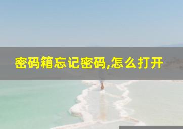 密码箱忘记密码,怎么打开