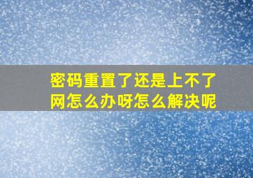 密码重置了还是上不了网怎么办呀怎么解决呢