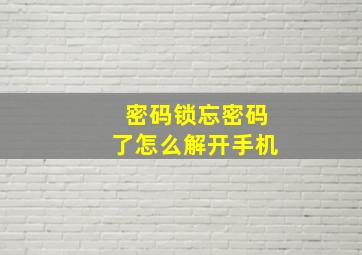 密码锁忘密码了怎么解开手机