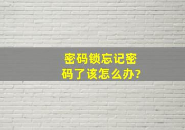 密码锁忘记密码了该怎么办?