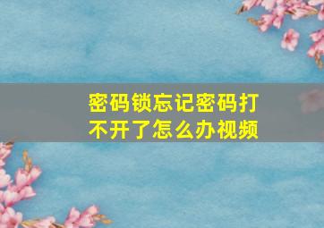 密码锁忘记密码打不开了怎么办视频