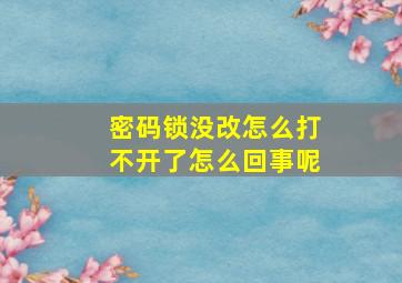 密码锁没改怎么打不开了怎么回事呢