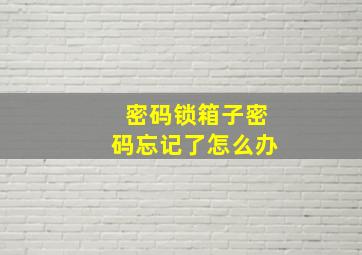 密码锁箱子密码忘记了怎么办