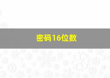 密码16位数