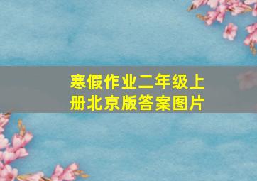 寒假作业二年级上册北京版答案图片