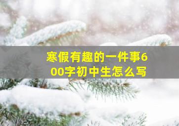 寒假有趣的一件事600字初中生怎么写