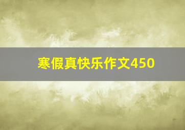 寒假真快乐作文450