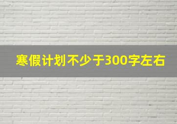 寒假计划不少于300字左右