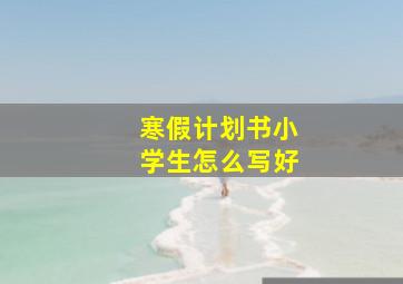 寒假计划书小学生怎么写好