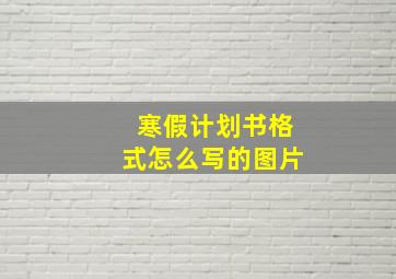 寒假计划书格式怎么写的图片