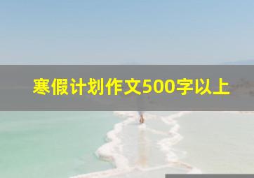 寒假计划作文500字以上