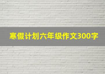 寒假计划六年级作文300字