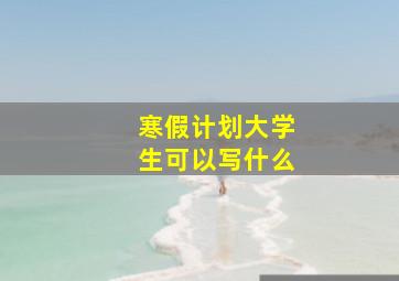 寒假计划大学生可以写什么