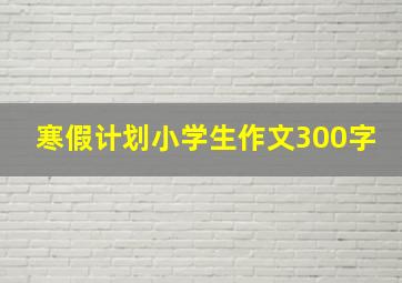 寒假计划小学生作文300字