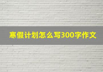 寒假计划怎么写300字作文