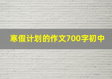 寒假计划的作文700字初中