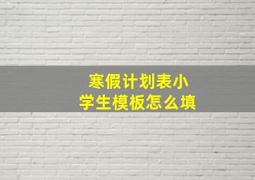 寒假计划表小学生模板怎么填