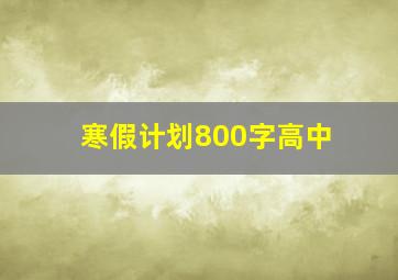 寒假计划800字高中