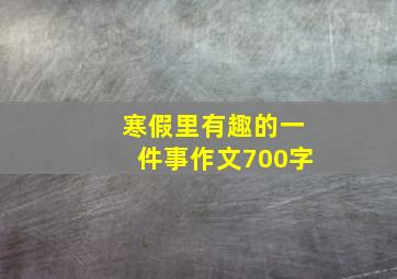 寒假里有趣的一件事作文700字