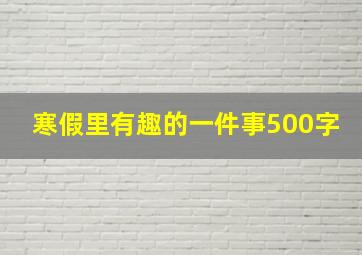 寒假里有趣的一件事500字