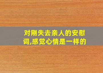 对刚失去亲人的安慰词,感觉心情是一样的