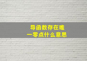 导函数存在唯一零点什么意思