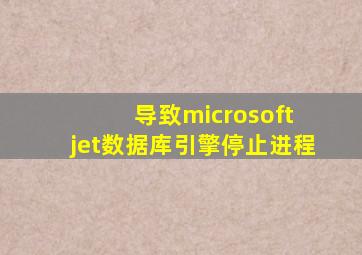 导致microsoft jet数据库引擎停止进程