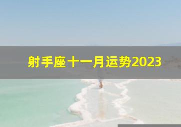 射手座十一月运势2023