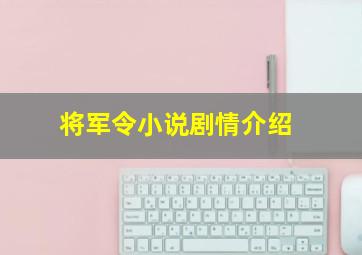 将军令小说剧情介绍