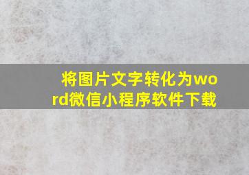 将图片文字转化为word微信小程序软件下载