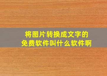 将图片转换成文字的免费软件叫什么软件啊