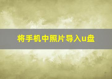 将手机中照片导入u盘