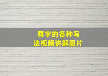 尊字的各种写法视频讲解图片