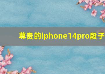 尊贵的iphone14pro段子