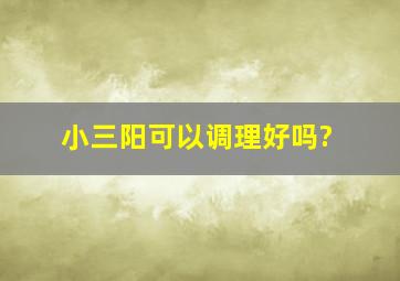 小三阳可以调理好吗?