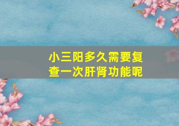 小三阳多久需要复查一次肝肾功能呢