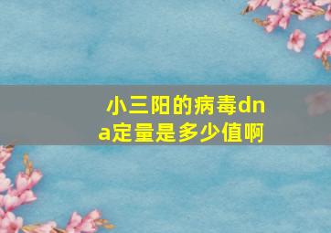 小三阳的病毒dna定量是多少值啊