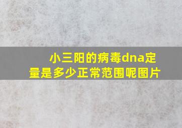 小三阳的病毒dna定量是多少正常范围呢图片