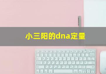 小三阳的dna定量