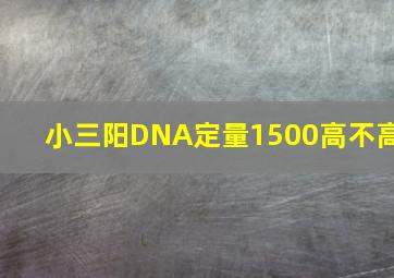 小三阳DNA定量1500高不高