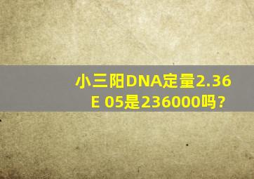 小三阳DNA定量2.36E+05是236000吗?