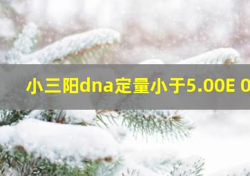 小三阳dna定量小于5.00E+02